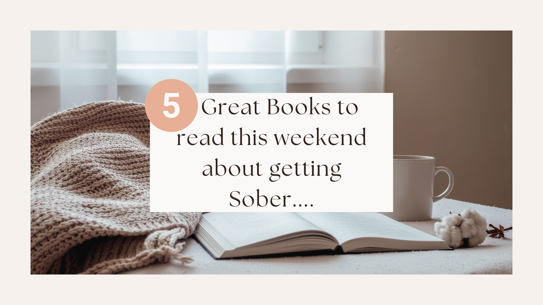 Great Books to read this weekend about getting Sober….